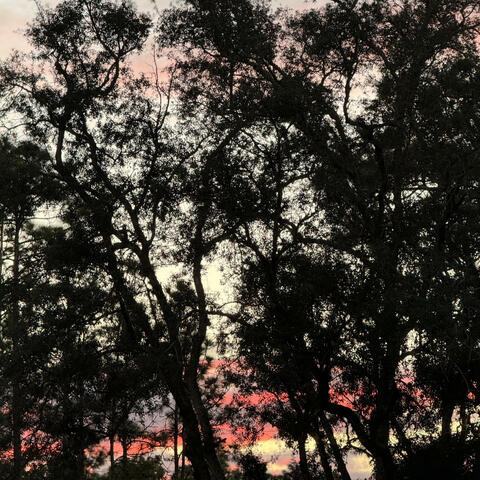 Seem Right (Versions)