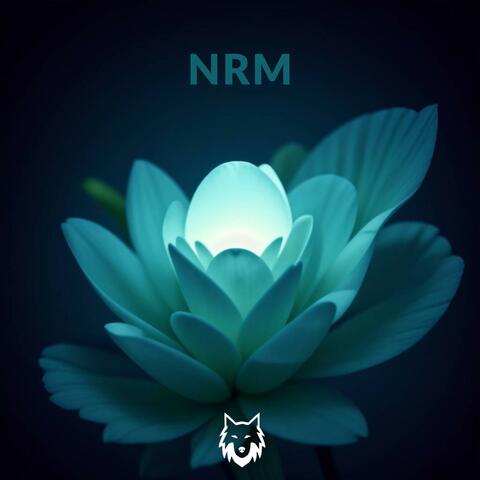 NRM