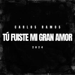 Tú fuiste mi gran amor