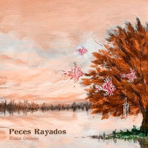 Peces Rayados
