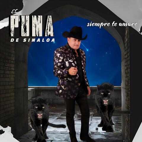 Siempre Te Amare