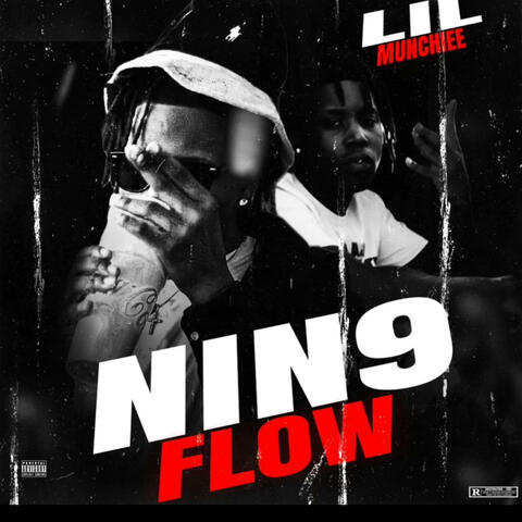 Nin9 Flow