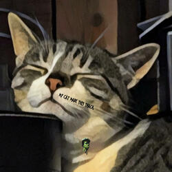 MY CAT MADE THIS TRACK.