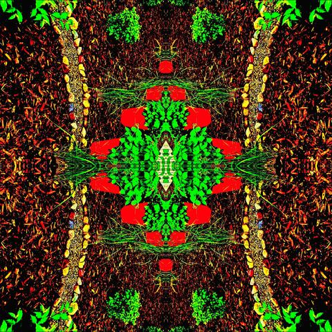Inner Garden