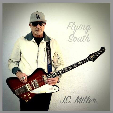 Flying South