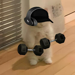 Ritmada do cha cha