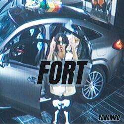 Fort