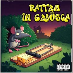 Ratten im Gebüsch