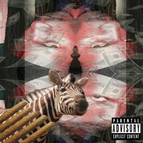 Rare Form #ZebraLife