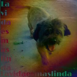 lavidaesmaslinda