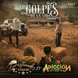 Los Golpes De La Vida
