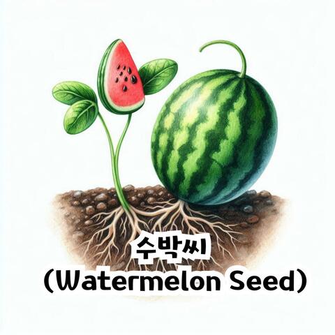 수박씨 (Watermelon Seed)