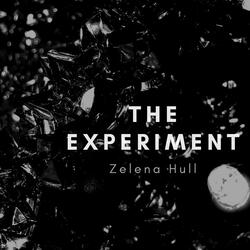 The Experiment