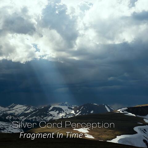 Fragment In Time