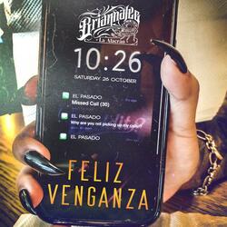Feliz Venganza
