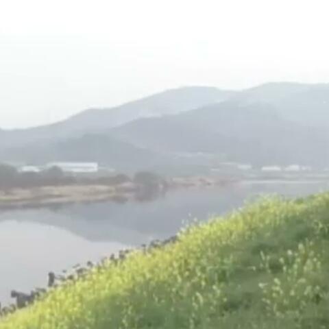 と手中で心
