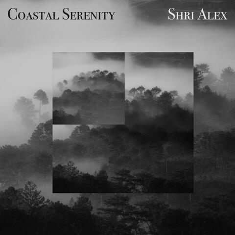 Coastal Serenity 海岸の静けさ