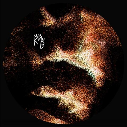 Hide & Seek With Tigers