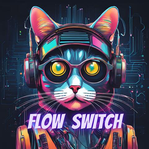 Flow Switch