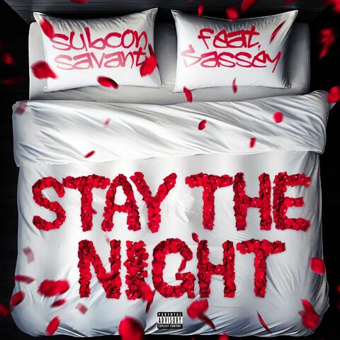 Stay the Night (feat. Sassey)