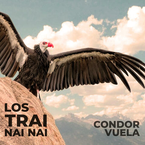 Condor Vuela (feat. Pito Pantera, Sachamama, Kuntur Wasi & Camino Rojo) [Gajumaru Sol Remix]