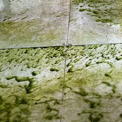 Adventures of a Corrupted Smartwatch