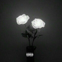 the ghosts in our rooms interlude