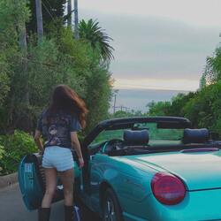 California Motive