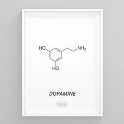 Dojazd