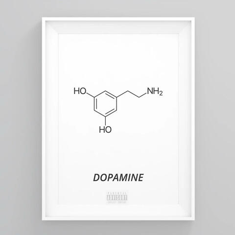 Dojazd