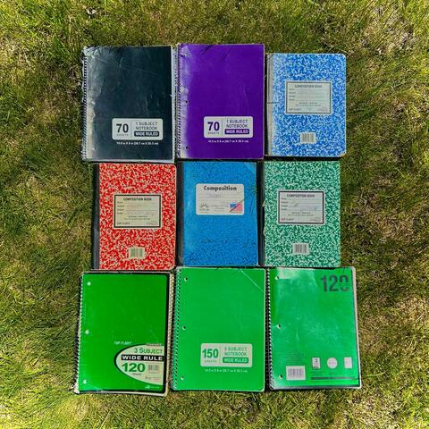 diaries of a stolen heart