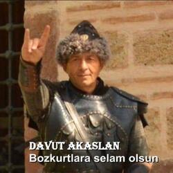 Bozkurtlara selam olsun