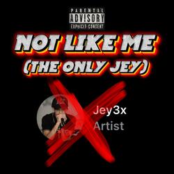 NOT LIKE ME (THE ONLY JEY)