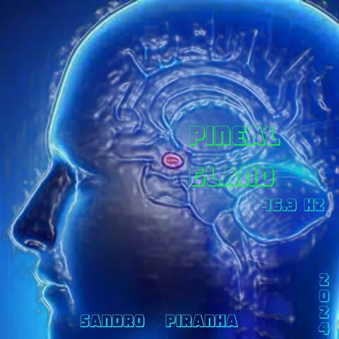 Pineal gland 96.3 Hz