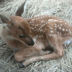 its too much (feat. dorien)