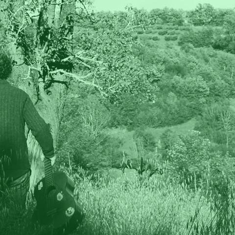 Quaranterra (Original Short Film Soundtrack)