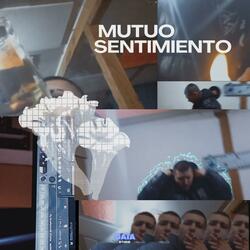 Mutuo Sentimiento (feat. dvrmv)