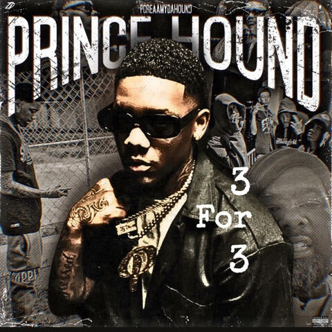 PRINCE HOUND (3for3)