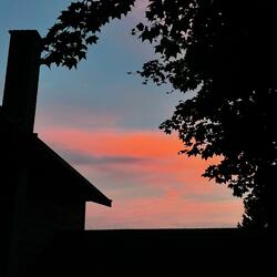 stick it to the blues