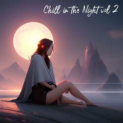 Chill in the Night vol 2