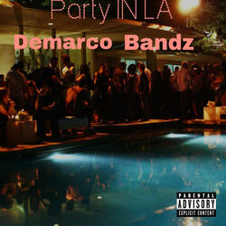 PARTY IN LA