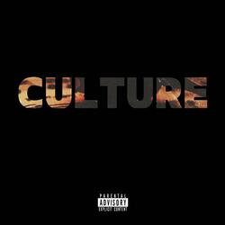 Culture, Pt. 2