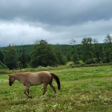 I see the light part 1