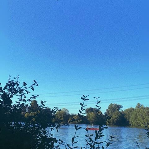 Salina