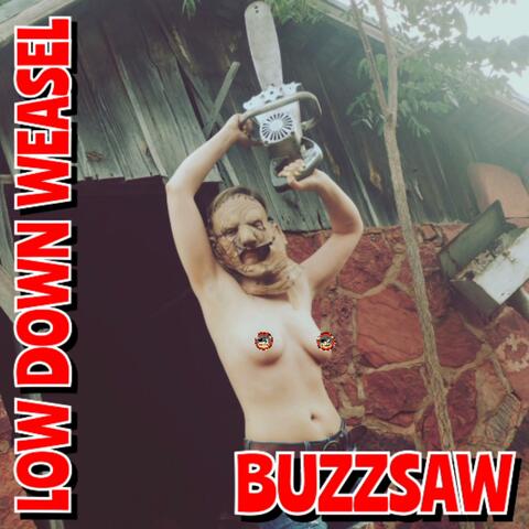 Buzzsaw