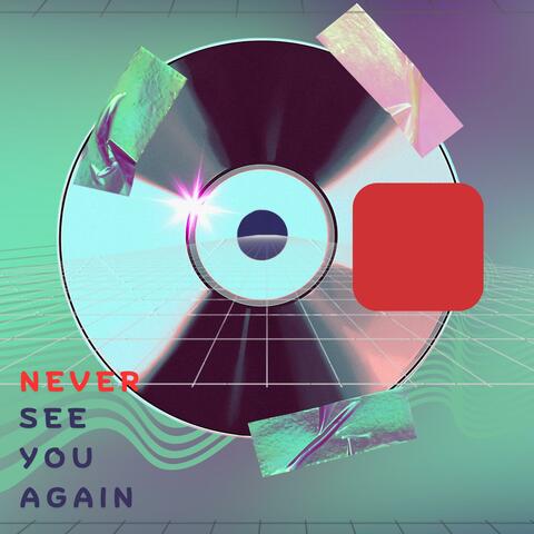 Never See You Again
