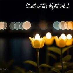 Chill in the Night vol 3