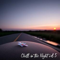 Chill in the Night, Vol. 5