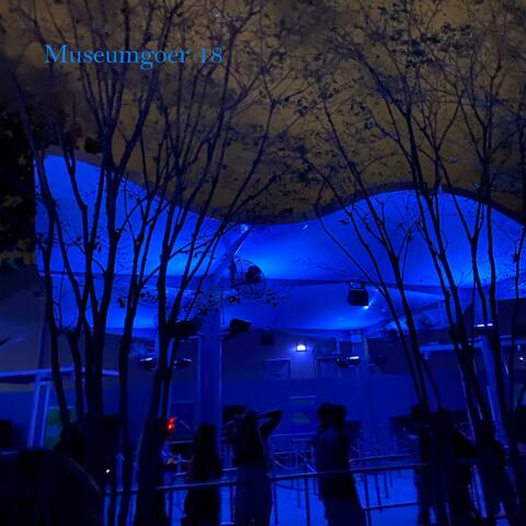 Museumgoer 18