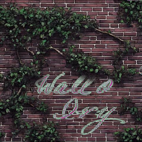 Wall o' Ivy